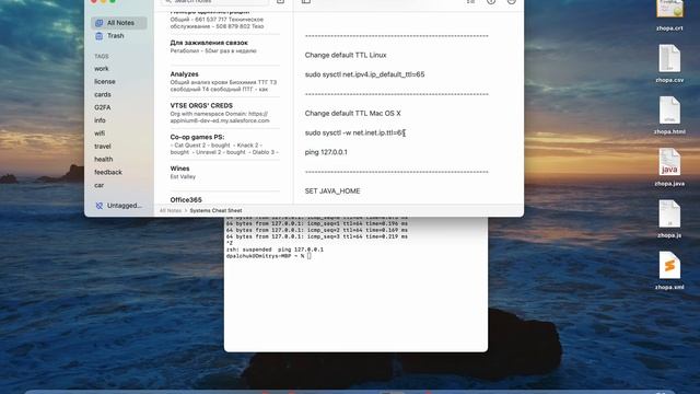 Смена TTL на Mac/Linux смотреть онлайн