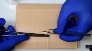 Техника наложения узлового шва