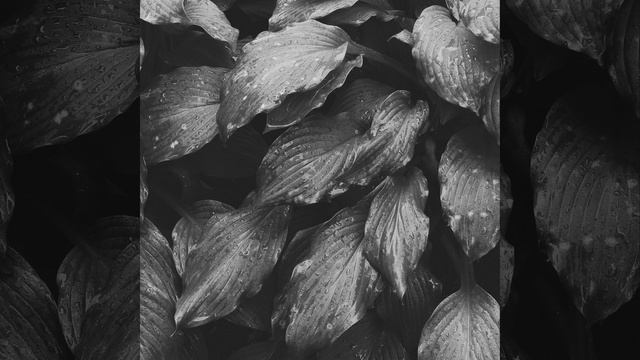 Чувство (Работа) смотреть онлайн