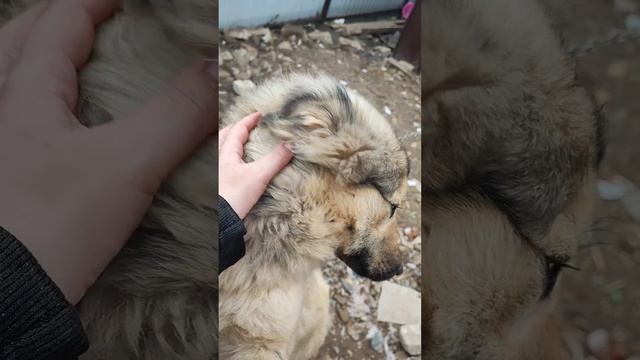 Они для нас страницы нашей жизни, а мы и есть для них вс смотреть онлайн