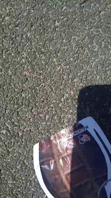 у Вани взорволазь в руках граната 😂 смотреть онлайн