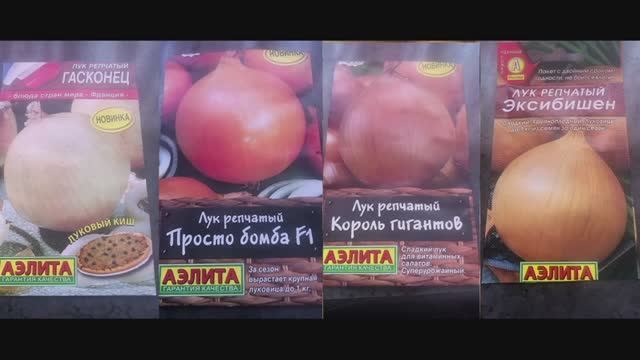 Лук, который НЕ ВЗОШЕЛ. Сорта ЛУКА ЗА СЕЗОН и их всходы. смотреть онлайн