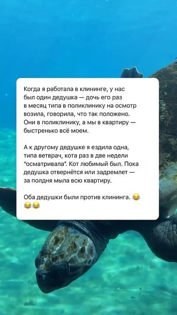 Клининг 😂 #рекомендации #отношения #жизнь #люди #семья смотреть онлайн