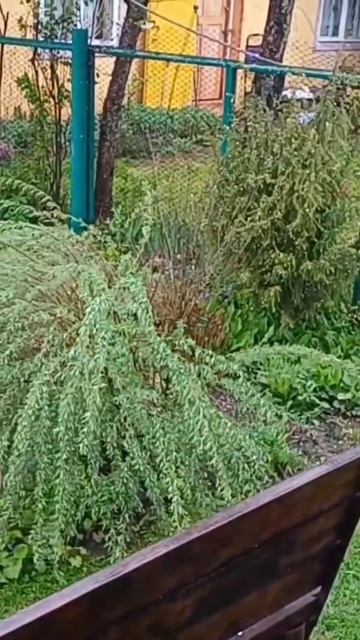 Красота сада в дождь смотреть онлайн