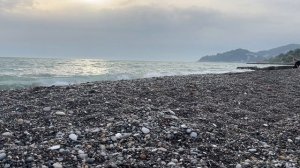 Веб камера Сочи море