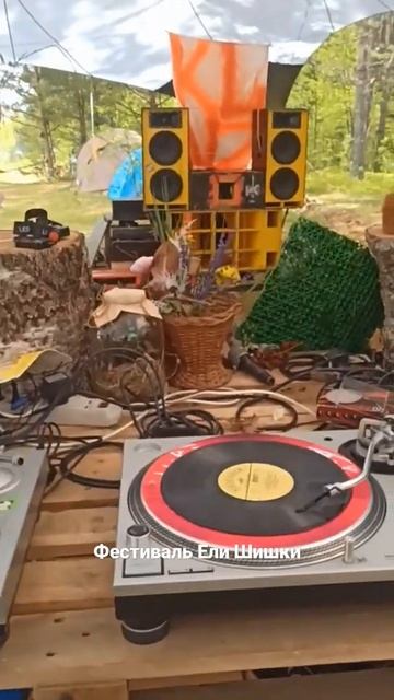 фестиваль Ели Шишки Саунд система смотреть онлайн