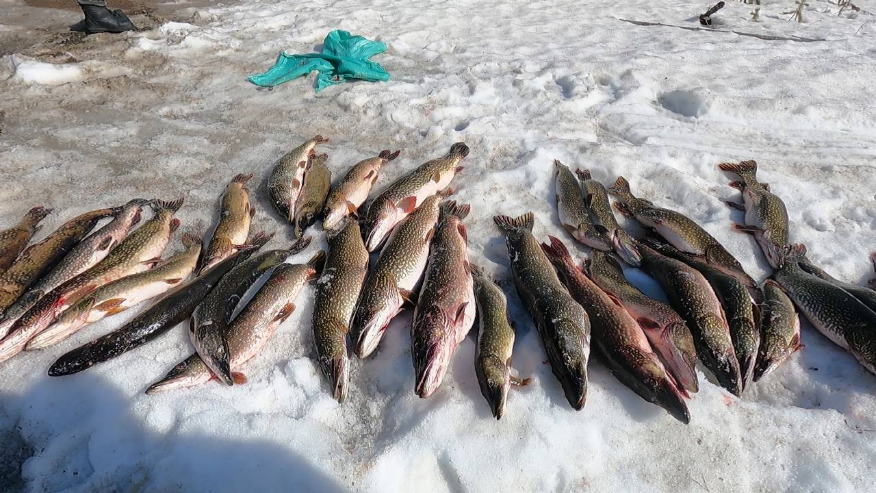 ЗАКРЫТИЕ ЗИМНЕГО СЕЗОНА 2025 (ЧАСТЬ 6) ЗАКЛЮЧИТЕЛЬНАЯ смотреть онлайн