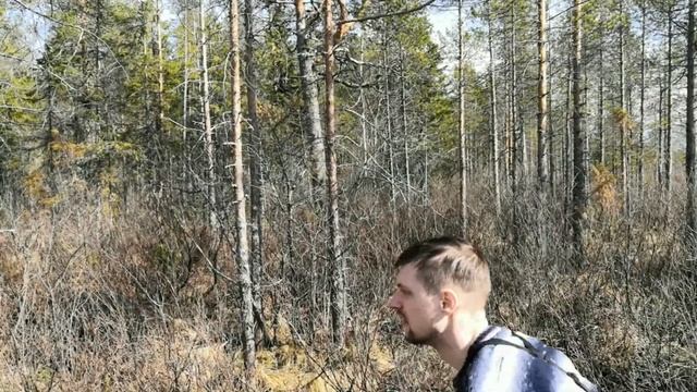 ПОДГОТОВКА К ВЕСЕННЕЙ ОХОТЕ. ДЕЛАЮ СКРАДОК смотреть онлайн