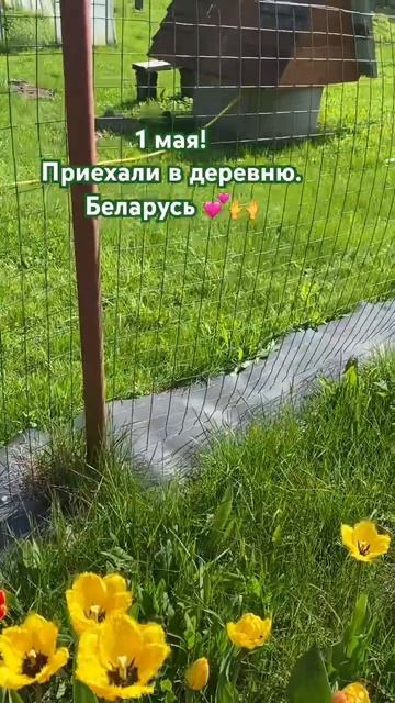 1 мая, Беларусь. Деревня. Майские праздники. Мир, труд, м смотреть онлайн