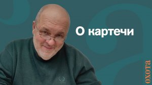 О картечи. Валерий Петрович об оптимальной картечи на косулю и кабана