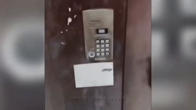 ПРИКОЛЫ 2021 ОКТЯБРЬ ЧУДИКИ ИЗ ТИК ТОК АВТО ПРИКОЛЫ РЖАКА ДО СЛЁЗ #84 смотреть онлайн