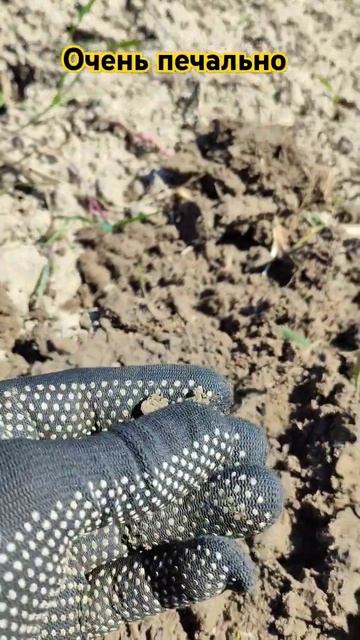 печальный крестик #equinox700 #metaldetecting #металлоискатель #ко смотреть онлайн
