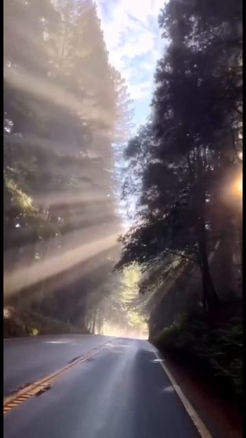 #вместе #верую #бог #психология #саморазвитие #мудрост? смотреть онлайн