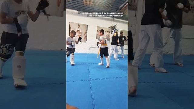 #топ1#313 #вленту #каратекиокусинкай #astra #shorts смотреть онлайн