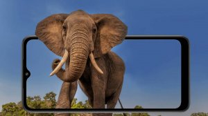 О Редких Животных Мира: Слон | Аудиокнига