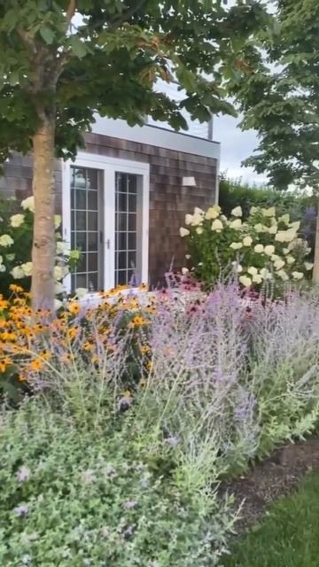 POLAR BEAR#hydrangea #гортензія #шортс #flower #paniculata #garden #сад #shorts #h