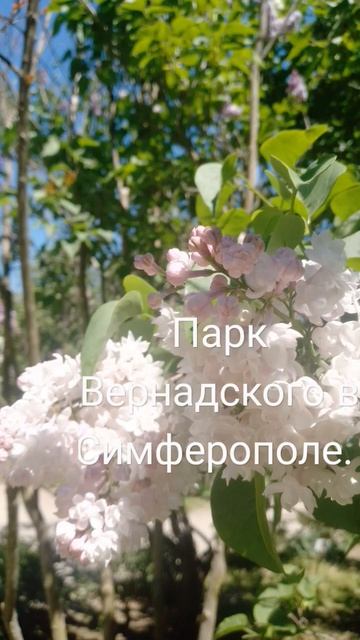 #парк #цветы #природакрыма смотреть онлайн