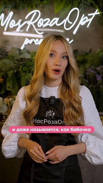 Нежный и экологичный букет из гортензий порадует близ