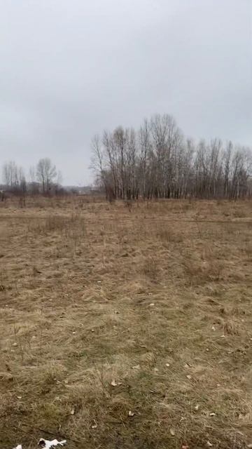 Самое большое число😂😂😂 смотреть онлайн