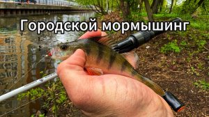 Городской мормышинг. Ловим на мелководье