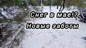 Выпал снег! Валим деревья! Заменили окна на пластиковые.