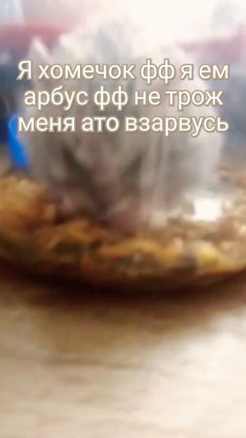 я Лиза фф я ем актив Ноя села и хочу ещё смотреть онлайн