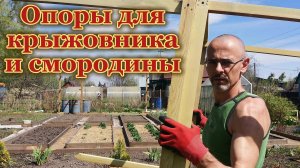 Как сделать опоры для крыжовника и смородины своими руками