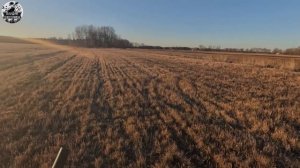 Охота на ГУСЯ 2025❗️Удачное открытие Охоты 🔥 Калининг