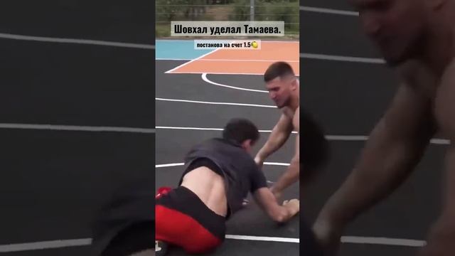 Асхаб Тамаев доказывает, что он борец. Поборолся с Шов? смотреть онлайн
