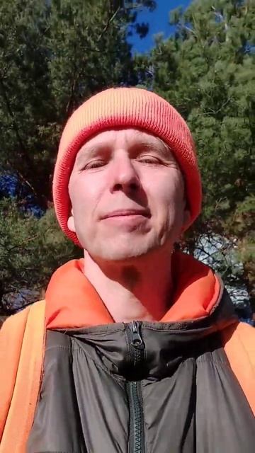 Всё что любите это и есть вы #любовь #психология #психо? смотреть онлайн