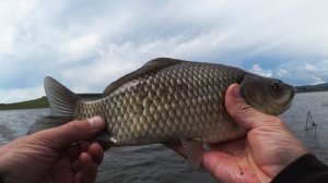 Рыбалка на карася.