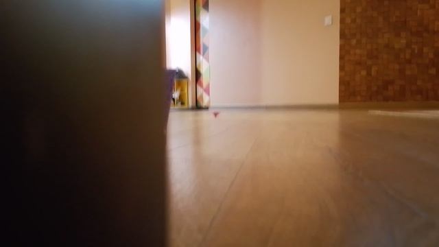 путишествие волчка(2часть) смотреть онлайн