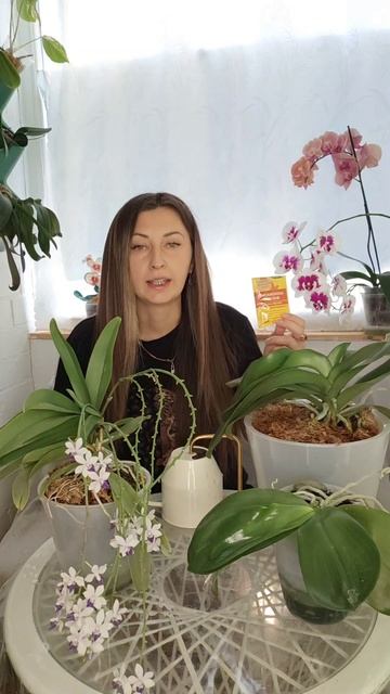 Как заставить орхидею пышно цвести? #орхидея #орхидеи # смотреть онлайн