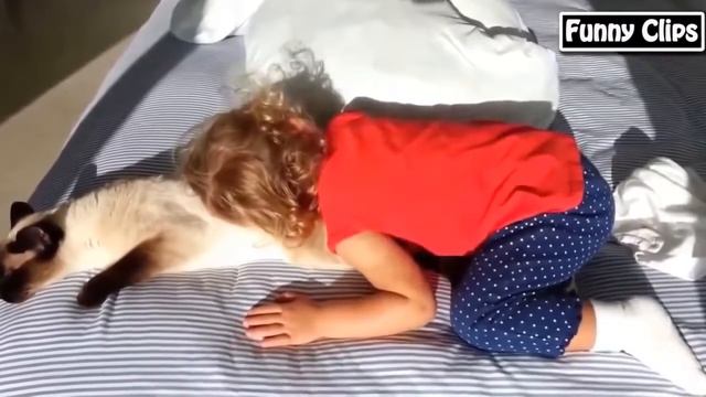 Очень смешные видео про котов и собачек с маленькими детками Funny baby Funny an смотреть онлайн