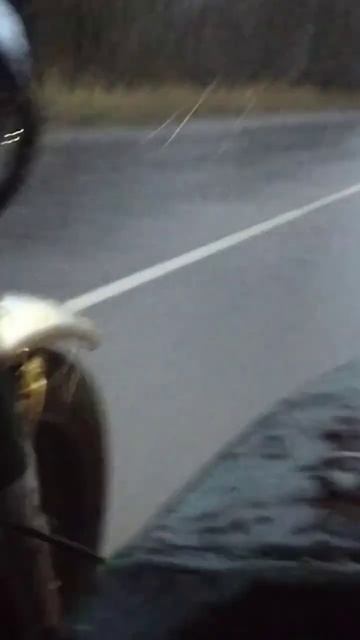 Топим сколько есть дури смотреть онлайн