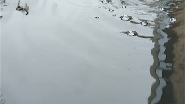 Вода. смотреть онлайн