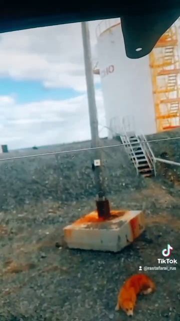 #рек #лайк #приколы #весело #камаз #работа #вахта смотреть онлайн