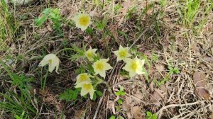 Радостное солнечное утро