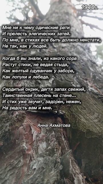 Стихи #поэзия #Ахматова смотреть онлайн