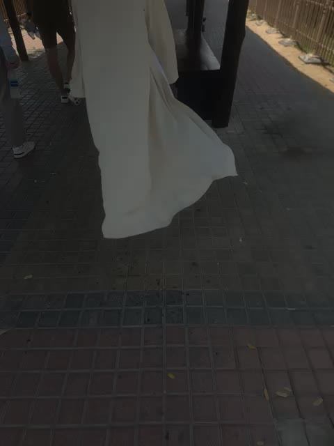 Сафари парк в Дубае Животные Дикие животные Птицы