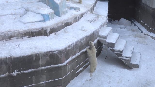 Стрелка чтобы достать канистру легких путей не ищет. 24 смотреть онлайн