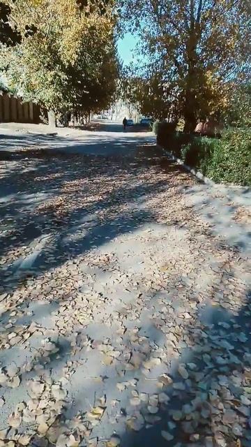 31 октября 2023 г. смотреть онлайн