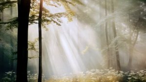 Есть Бог Святой! Автор Сергей Шамин.