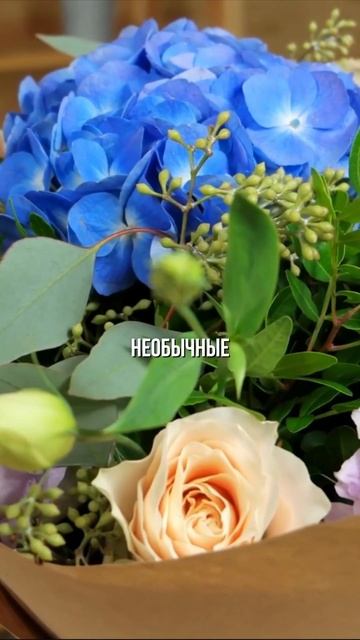 В мультфильме "Тайна Коко" есть отсылка к настоящей ис? смотреть онлайн