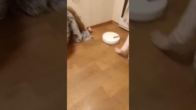 вот что произойдёт если Алиса возьмёт в руки нож😂🤣? смотреть онлайн