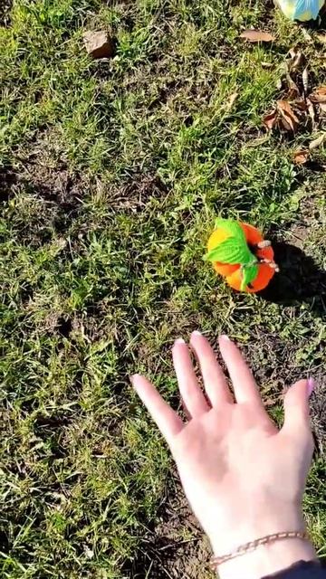 вязание крючком, тыква крючком, бесплатный МК, амигуруми, осенний декор, вяжем тыкву