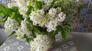 Как сохранить букет сирени,черемухи подольше.