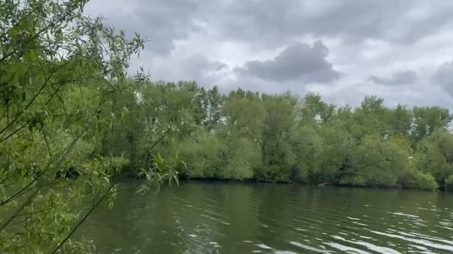 природа смотреть онлайн