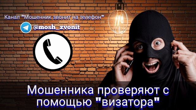 Мошенника проверяют с помощью "визатора" смотреть онлайн