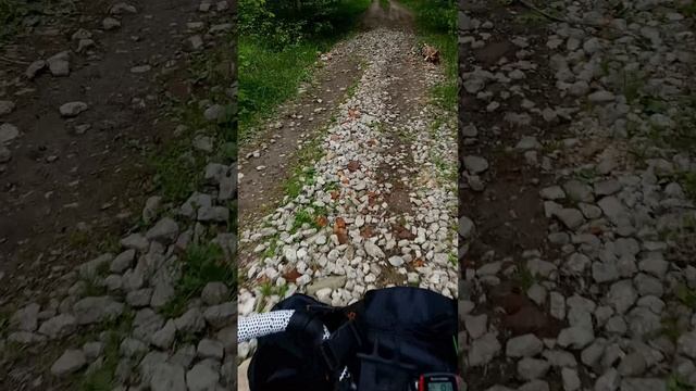 Вело-поездка до золоторевского городища и мертвого озера 9 мая 2025 , даже замерили радиацию